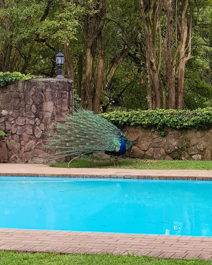Chantecler Hotel Botha's Hill Exteriér fotografie